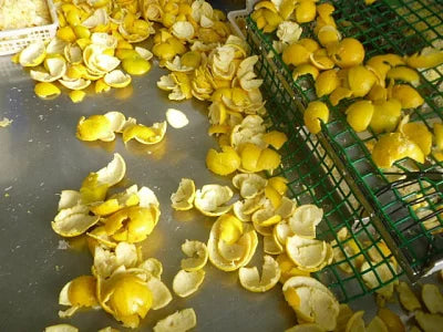 ゆずピールハニーハニーチップス 30g 宮崎県産 ゆず使用 須木特産 九州 蜂蜜 柑橘 外果皮 皮 ピール チップス お菓子 おやつ 駄菓子 和菓子 洋菓子 果物