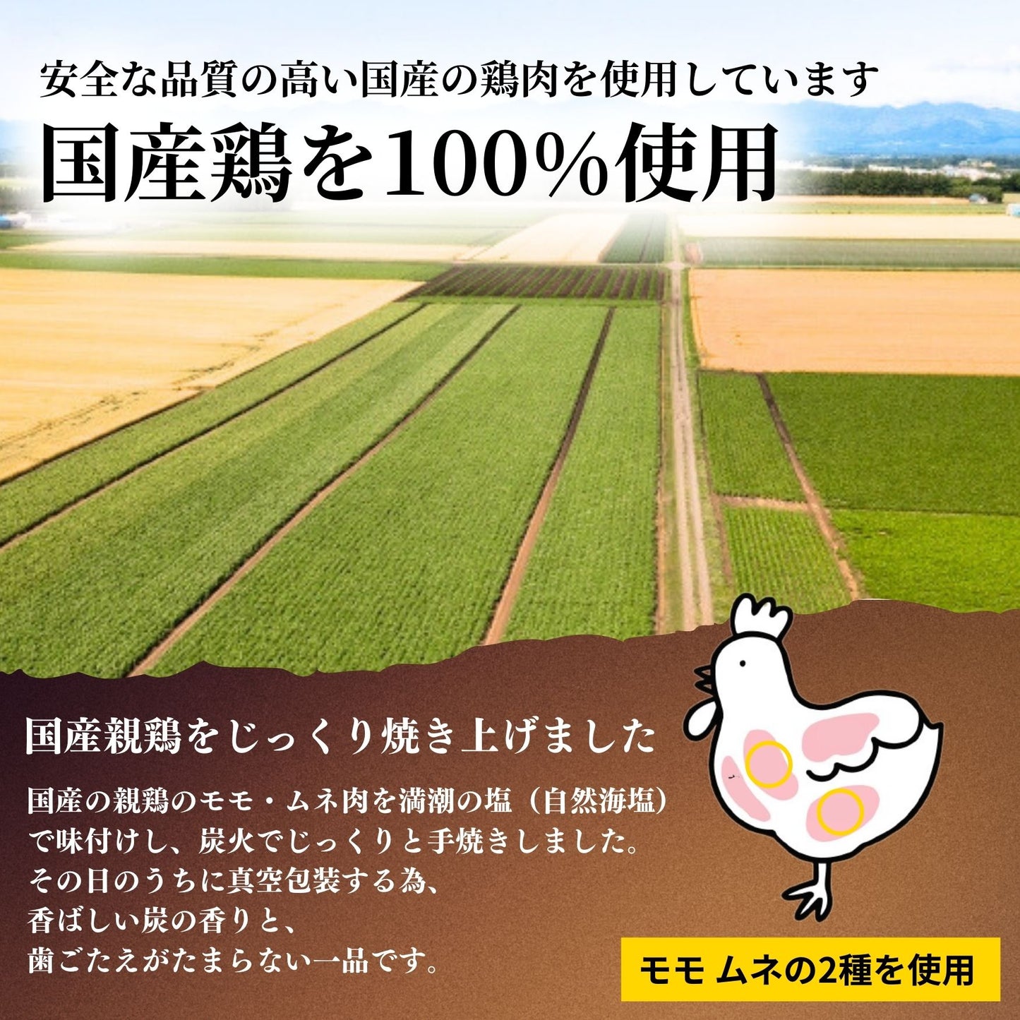 宮崎名物 鶏の炭火焼 80g×2袋セット 国産 地鶏 焼き鳥 晩酌セット 酒のつまみ 居酒屋 真空パック 簡単調理 家飲み 晩酌 おつまみ 美味しい 無添加 プレゼント おみやげ ギフト お買い得 送料無料 宮崎県