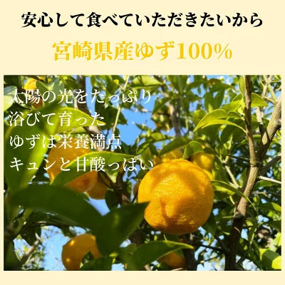 ゆずピールチョコチョコチップ 30g 宮崎県産 ゆず使用 須木特産 九州 チョコレート 柑橘 外果皮 皮 ピール チップス お菓子 おやつ 駄菓子 和菓子 洋菓子 果物 宮崎県