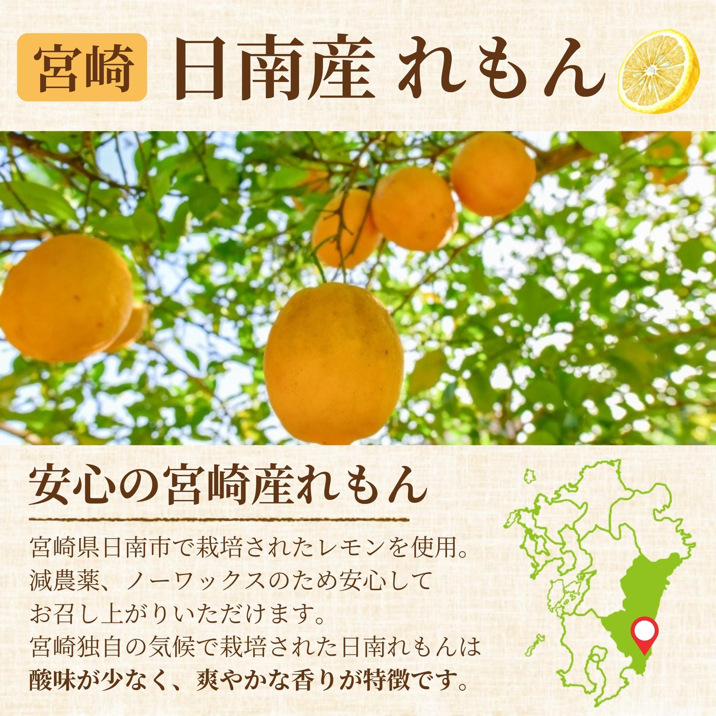 CITRUS Citoile 美容ドリンク 無添加 コーディアルシロップ カクテル 柑橘 レモン 宮崎県 へべす 柚子 健康ドリンク 飲む美容液 コーディアル シロップ スムージー ヨーグルト 健康飲料 焼酎 健康 美容 250g 3本セット