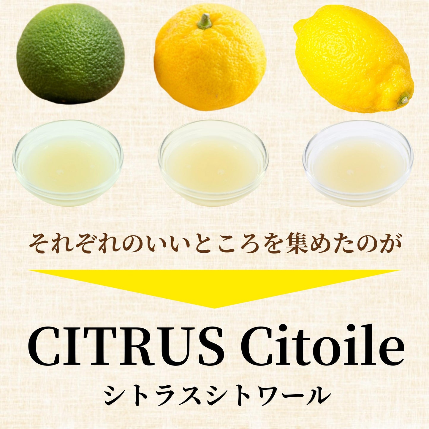 CITRUS Citoile 美容ドリンク 無添加 コーディアルシロップ カクテル 柑橘 レモン 宮崎県 へべす 柚子 健康ドリンク 飲む美容液 コーディアル シロップ スムージー ヨーグルト 健康飲料 焼酎 健康 美容 250g 3本セット