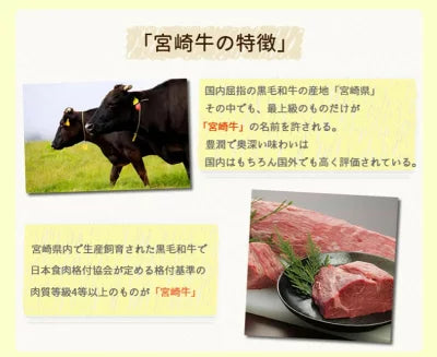 宮崎牛 すき焼き セット 牛 モモスライス250g ウデスライス250g 2~3人前 黒毛和牛赤身スライス 高級 食べ比べ すき焼き牛肉 黒毛和牛食べ比べ 赤身肉 すき焼き用肉 すき焼き肉 ももスライス すき焼き用牛肉 すき焼肉 モモ肉