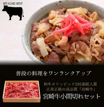 宮崎牛 小間切れセット 600g 牛モモ肉 肩 牛 バラ肉 ミックス 宮崎 焼肉のたれ 宮崎県 都城市 都城産 九州産 国産 牛肉 冷凍肉 冷凍グルメ 国産牛肉 牛丼の具 和牛 牛もも肉 赤身肉 焼肉のタレ セット お取り寄せ グルメ 黒毛和牛