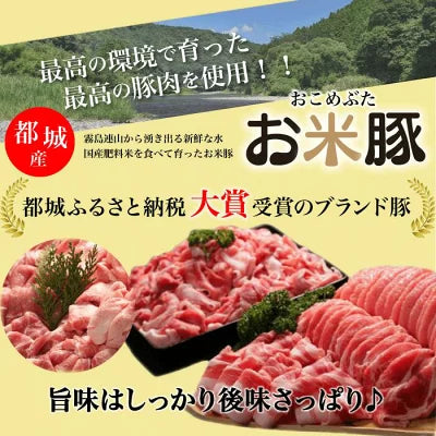 元祖にくまき本舗 肉巻きおにぎり ゆずこしょう セット 100g×5個 冷凍 肉巻き 宮崎 焼きおにぎり 冷凍おにぎり おにぎり ご当地グルメ 宮崎県 お取り寄せ グルメ レンチンご飯 お米豚 お肉おいしい 冷凍 宮崎県