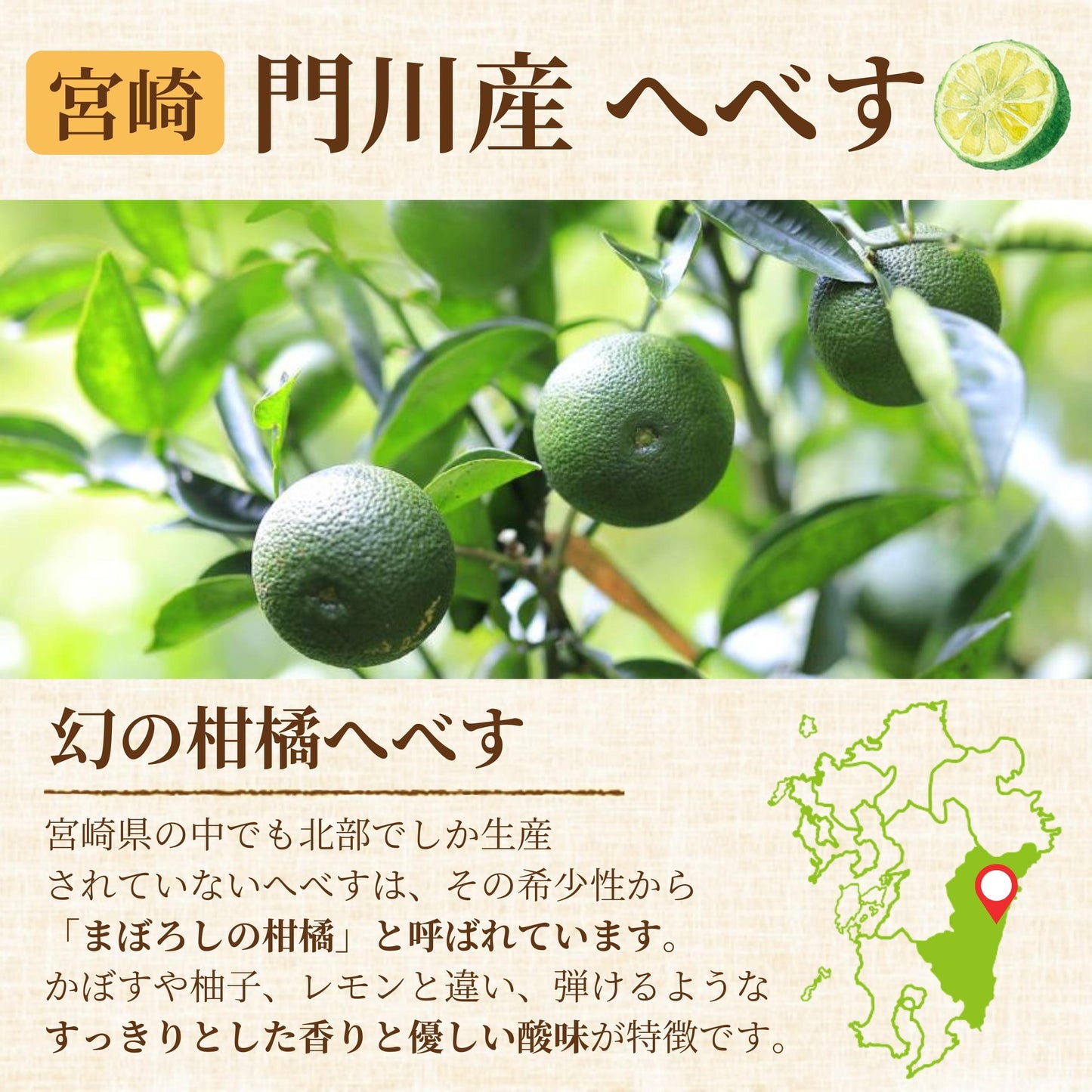 CITRUS Citoile 美容ドリンク 無添加 コーディアルシロップ カクテル 柑橘 レモン 宮崎県 へべす 柚子 健康ドリンク 飲む美容液 コーディアル シロップ スムージー ヨーグルト 健康飲料 焼酎 健康 美容 250g 3本セット