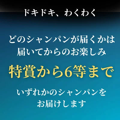 【第1弾】シャンパンくじ 超高級シャンパンが当たるかも！？ ドンペリP2 クリスタルなど 750ml 限定200口 福袋 くじ ガチャガチャ 運試し シャンパン